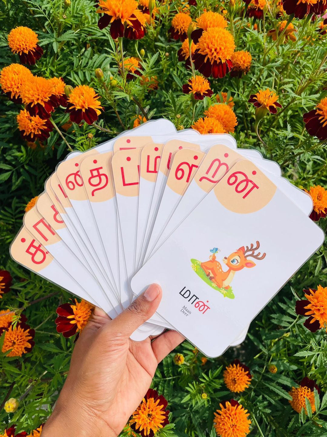 Mei Ezhuthukkal Flashcard