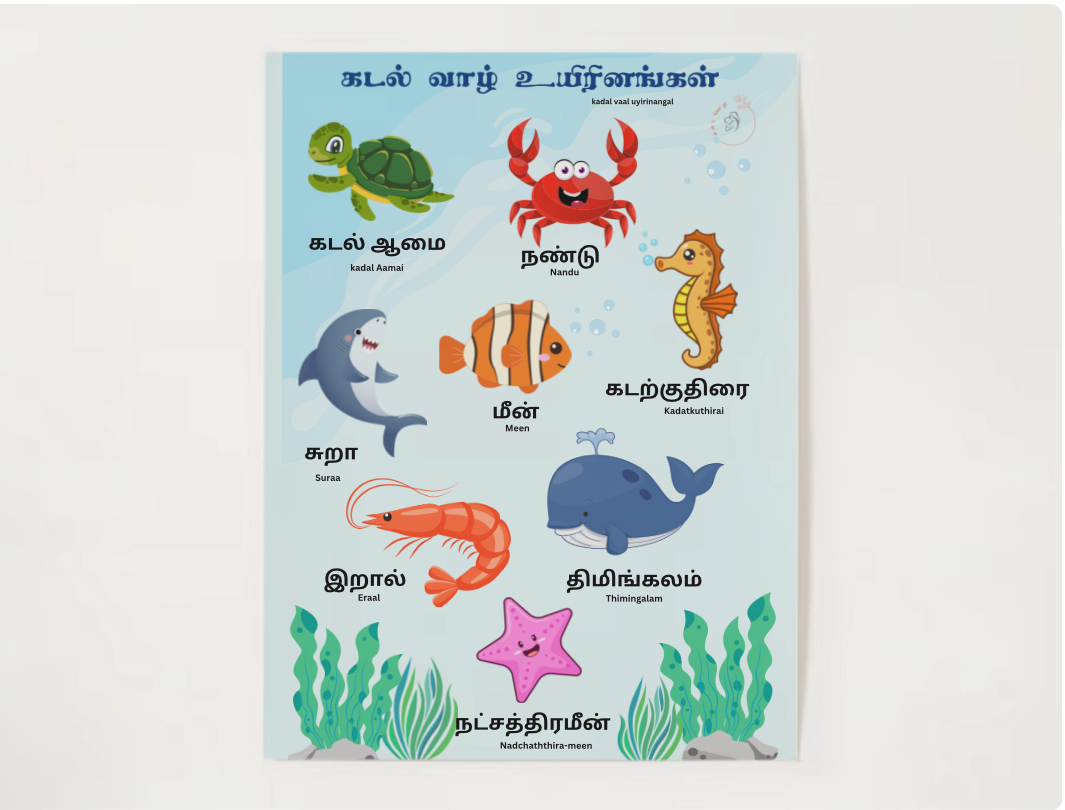 Animals posters