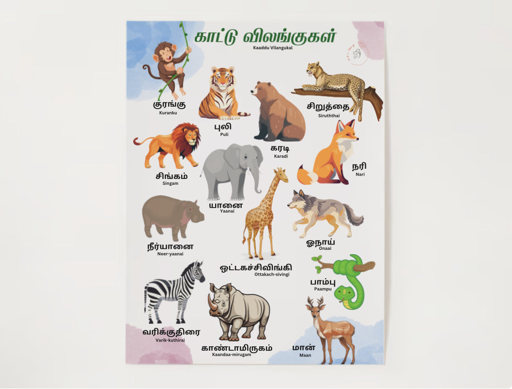 Animals posters