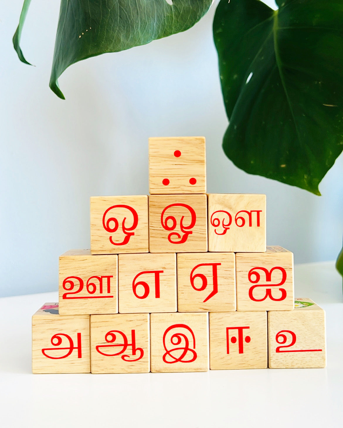 Tamil vowel & numbers blocks