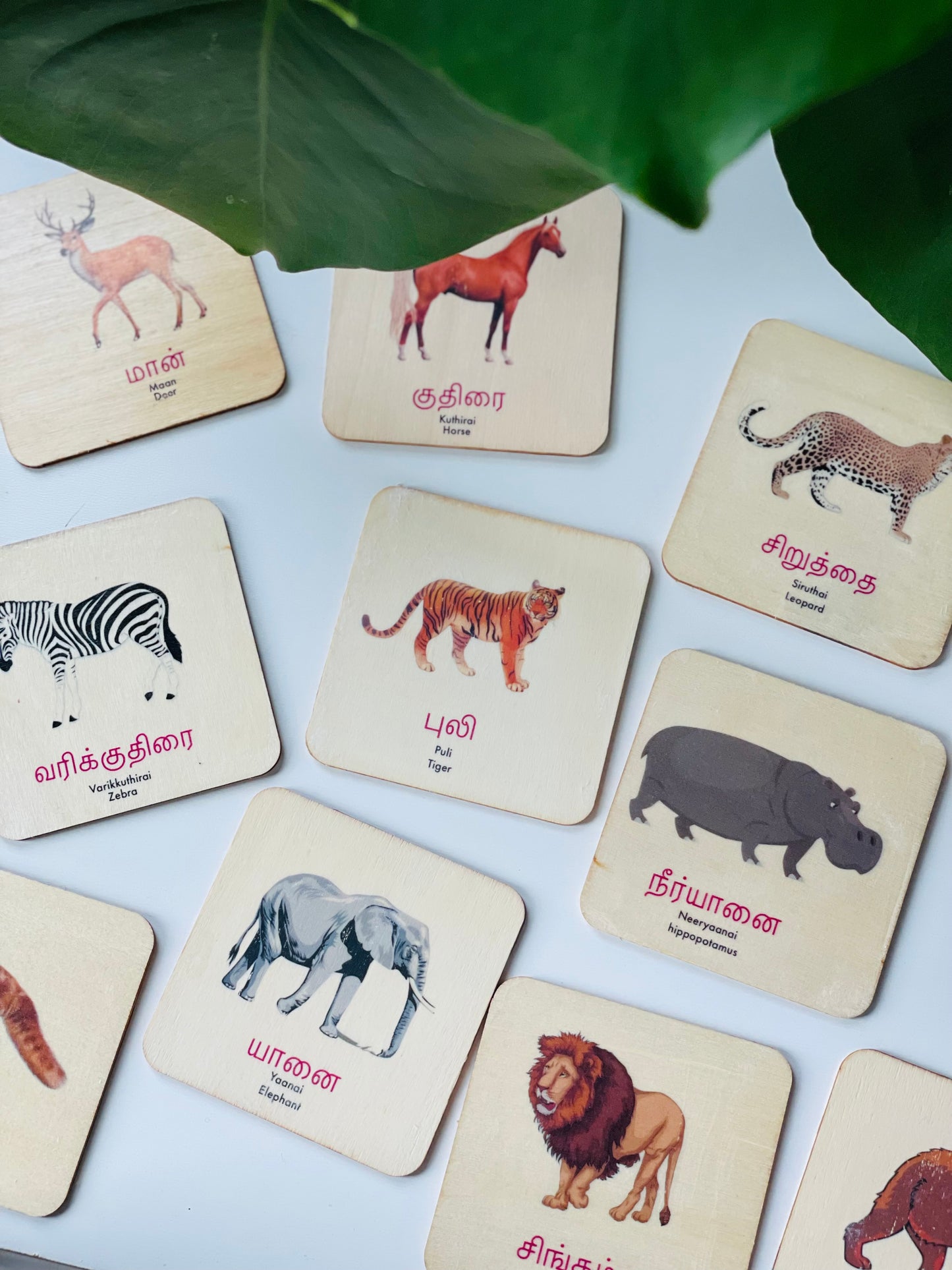 Animals Memory Card Game
